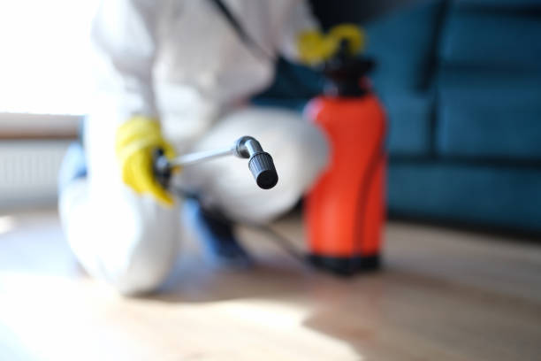 Trusted Riverside, UT Mold Removal Experts